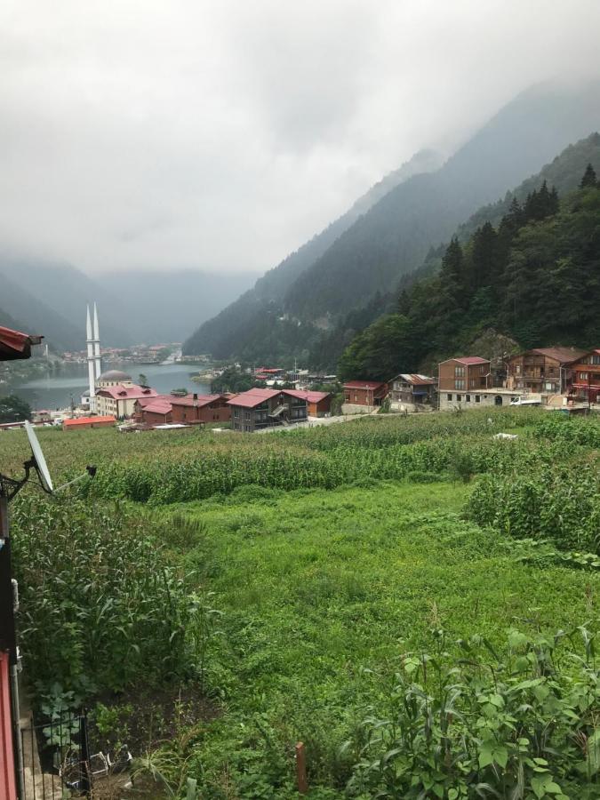 Karenes Kuzey Pansiyon Caykara 외부 사진