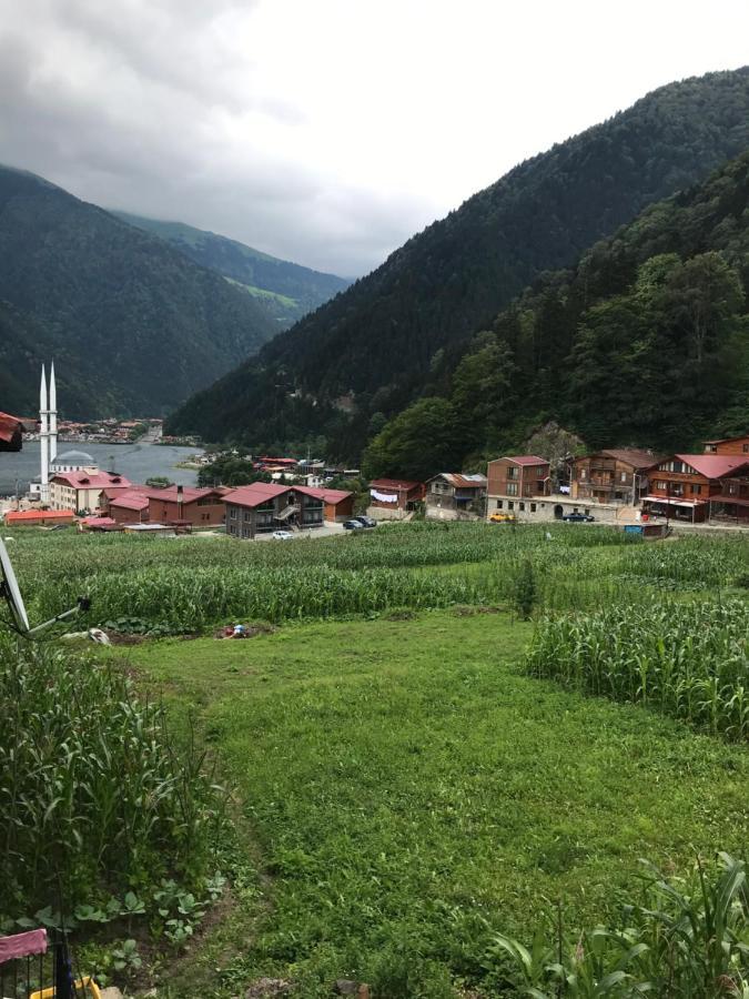 Karenes Kuzey Pansiyon Caykara 외부 사진