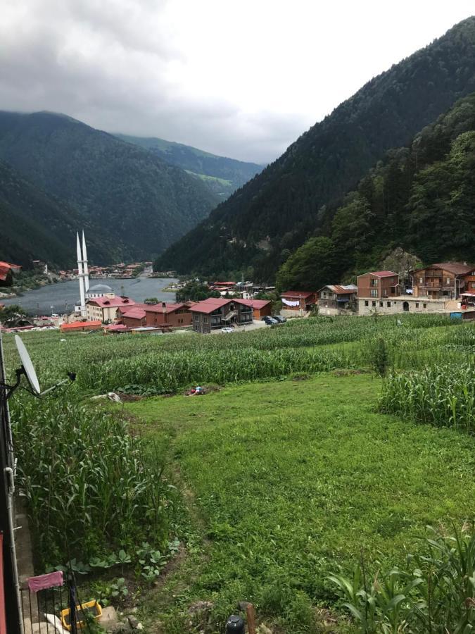 Karenes Kuzey Pansiyon Caykara 외부 사진